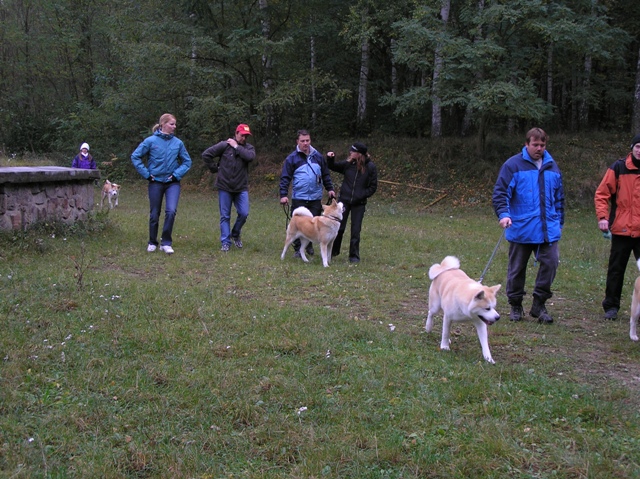 P1010022.JPG